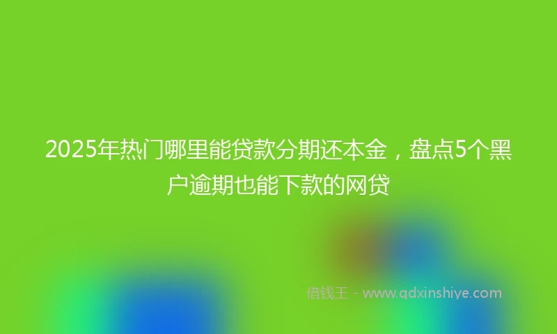 2025年热门哪里能贷款分期还本金，盘点5个黑户逾期也能下款的网贷