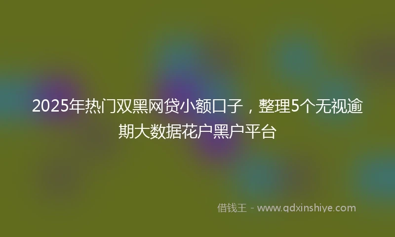 2025年热门双黑网贷小额口子，整理5个无视逾期大数据花户黑户平台