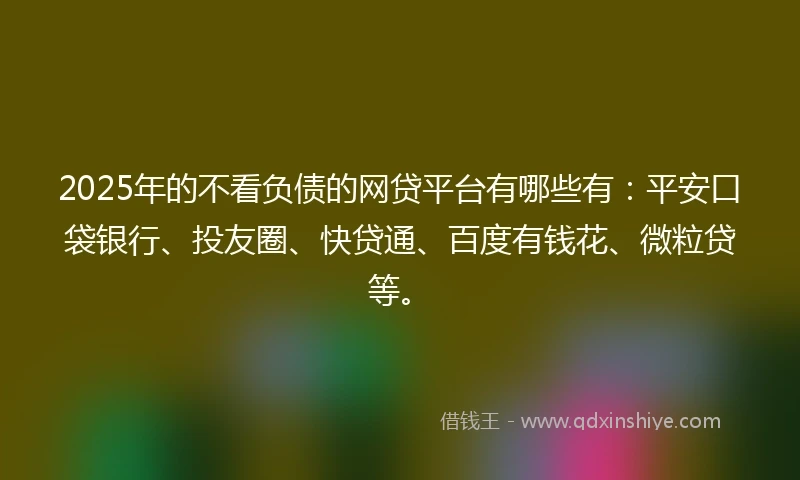 2025年的不看负债的网贷平台有哪些有:平安口袋银行、投友圈、快贷通、百度有钱花、微粒贷等。