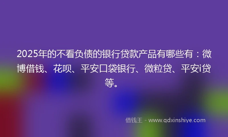 2025年的不看负债的银行贷款产品有哪些有：微博借钱、花呗、平安口袋银行、微粒贷、平安i贷等。