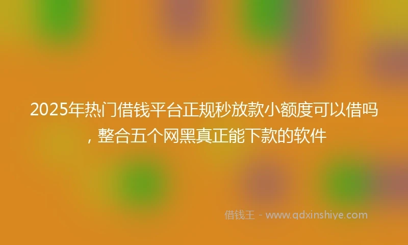 2025年热门借钱平台正规秒放款小额度可以借吗，整合五个网黑真正能下款的软件