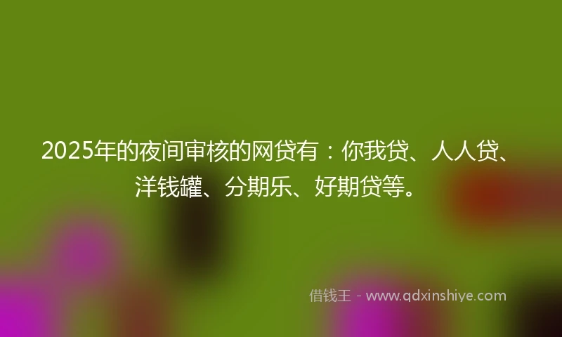2025年的夜间审核的网贷有:你我贷、人人贷、洋钱罐、分期乐、好期贷等。