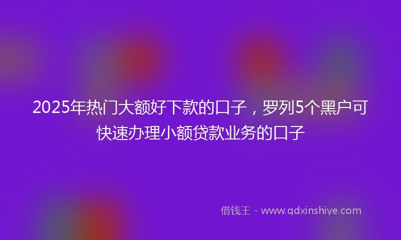 2025年热门大额好下款的口子，罗列5个黑户可快速办理小额贷款业务的口子