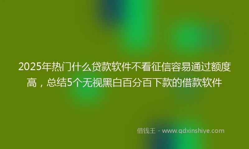 2025年热门什么贷款软件不看征信容易通过额度高，总结5个无视黑白百分百下款的借款软件