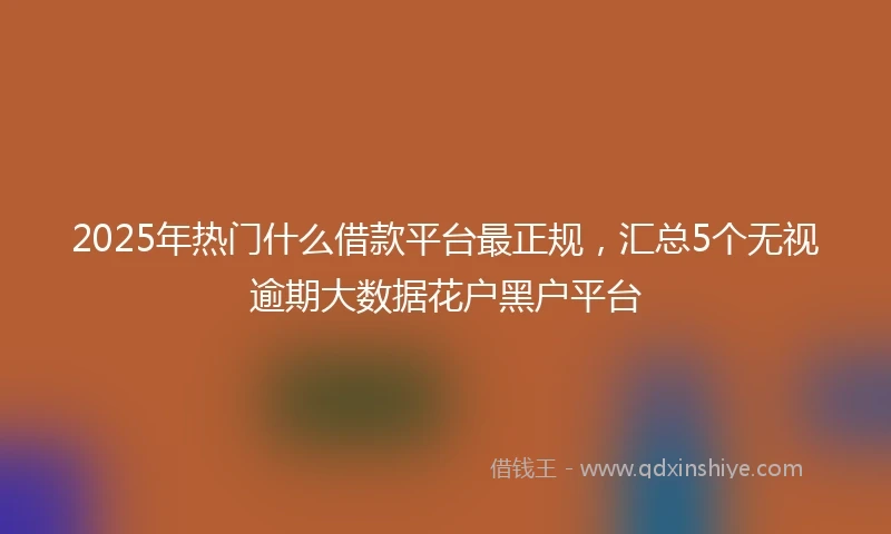 2025年热门什么借款平台最正规，汇总5个无视逾期大数据花户黑户平台