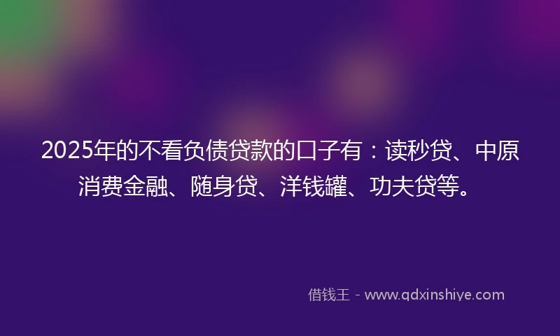 2025年的不看负债贷款的口子有：读秒贷、中原消费金融、随身贷、洋钱罐、功夫贷等。