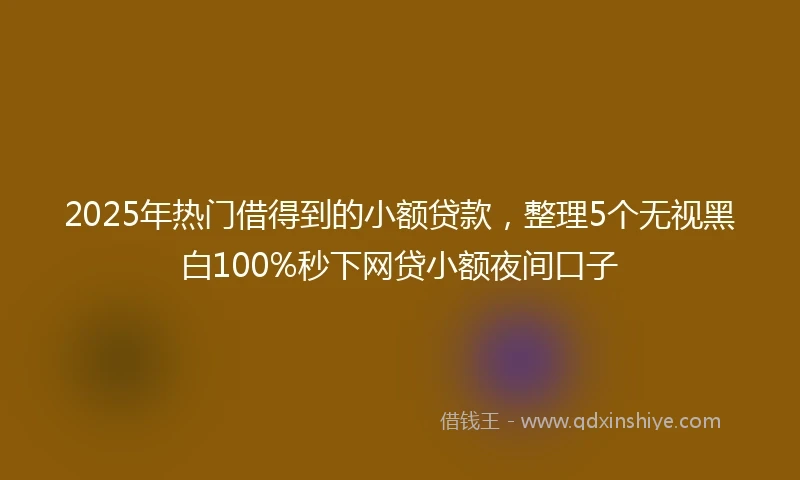 2025年热门借得到的小额贷款，整理5个无视黑白100%秒下网贷小额夜间口子