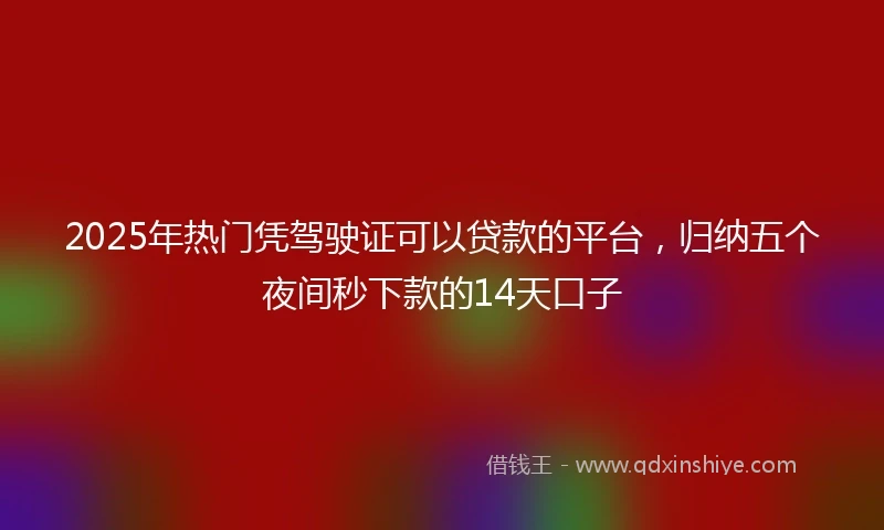 2025年热门凭驾驶证可以贷款的平台，归纳五个夜间秒下款的14天口子