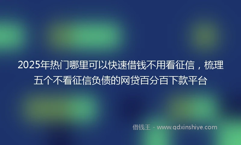 2025年热门哪里可以快速借钱不用看征信，梳理五个不看征信负债的网贷百分百下款平台