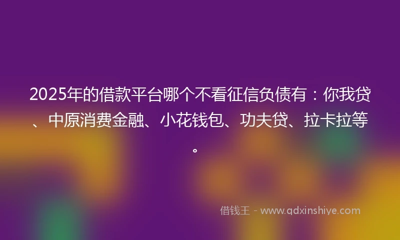2025年的借款平台哪个不看征信负债有：你我贷、中原消费金融、小花钱包、功夫贷、拉卡拉等。