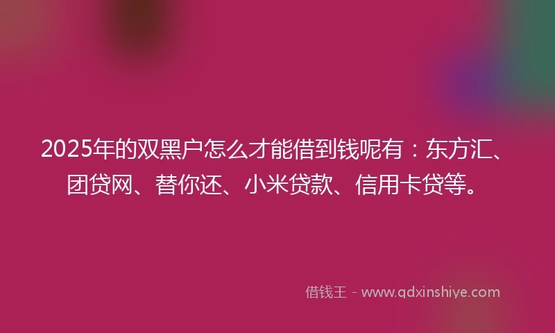 2025年的双黑户怎么才能借到钱呢有：东方汇、团贷网、替你还、小米贷款、信用卡贷等。