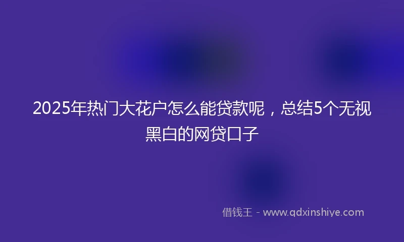 2025年热门大花户怎么能贷款呢，总结5个无视黑白的网贷口子