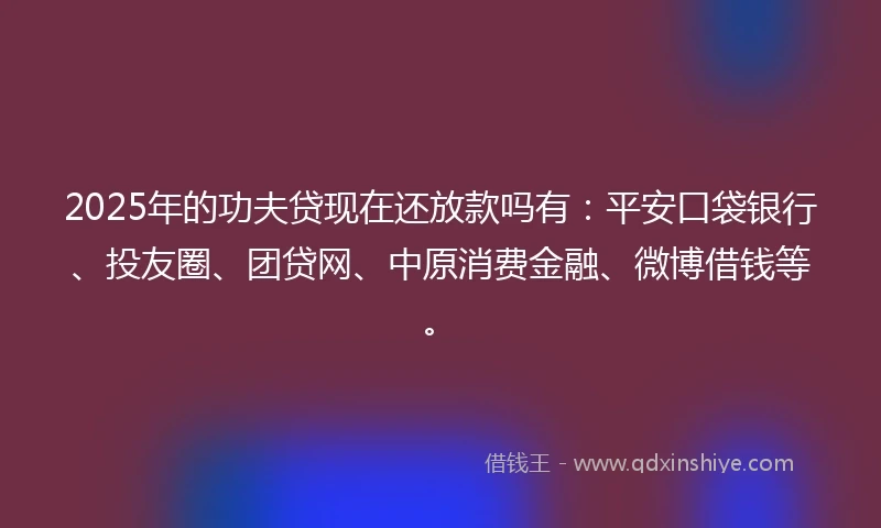 2025年的功夫贷现在还放款吗有：平安口袋银行、投友圈、团贷网、中原消费金融、微博借钱等。
