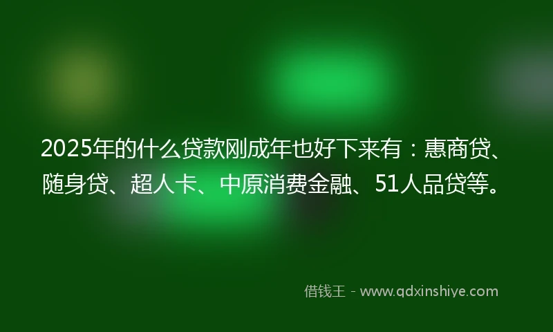 2025年的什么贷款刚成年也好下来有：惠商贷、随身贷、超人卡、中原消费金融、51人品贷等。