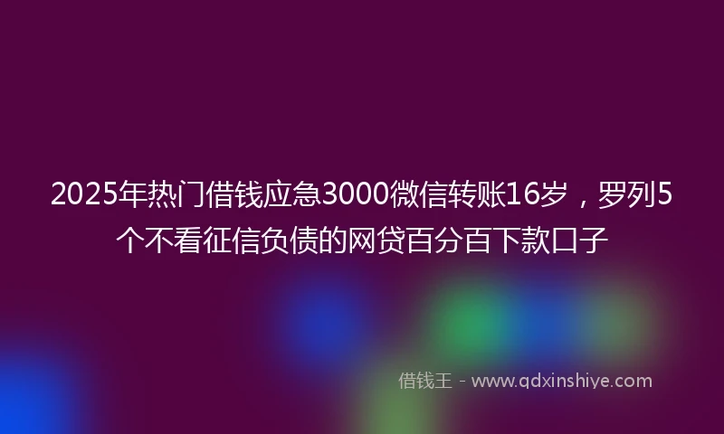 2025年热门借钱应急3000微信转账16岁，罗列5个不看征信负债的网贷百分百下款口子