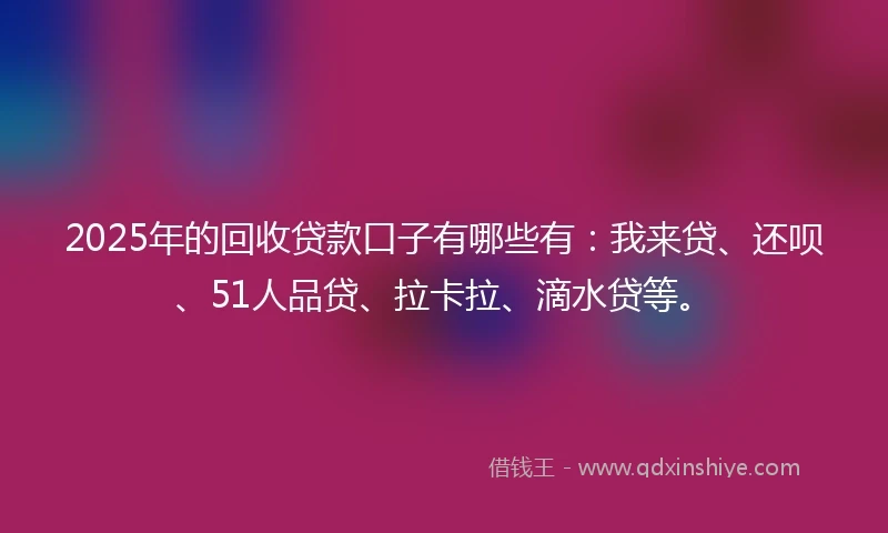 2025年的回收贷款口子有哪些有：我来贷、还呗、51人品贷、拉卡拉、滴水贷等。
