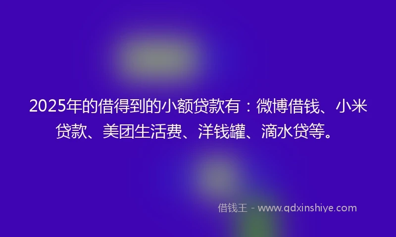 2025年的借得到的小额贷款有：微博借钱、小米贷款、美团生活费、洋钱罐、滴水贷等。