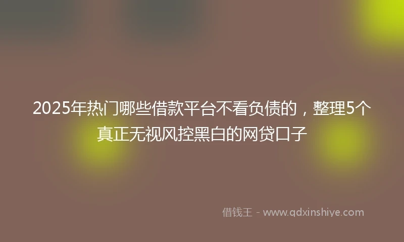 2025年热门哪些借款平台不看负债的，整理5个真正无视风控黑白的网贷口子