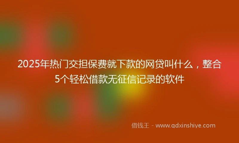 2025年热门交担保费就下款的网贷叫什么，整合5个轻松借款无征信记录的软件