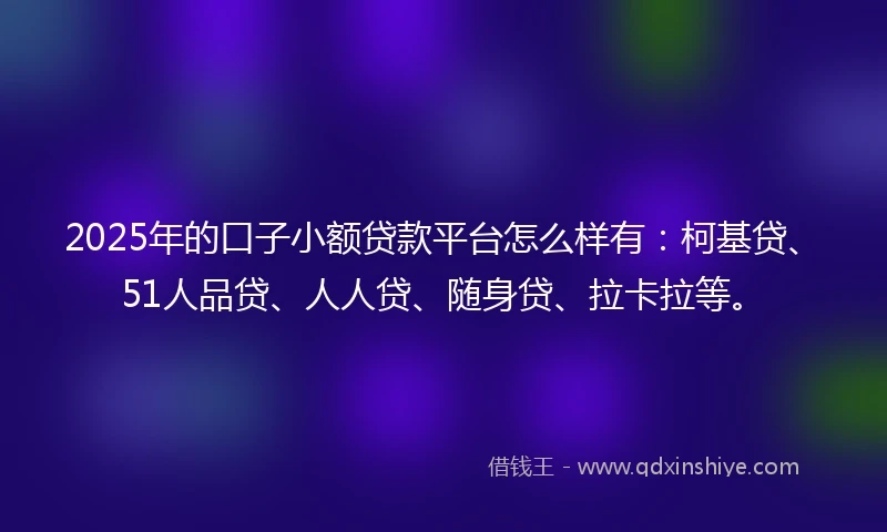 2025年的口子小额贷款平台怎么样有：柯基贷、51人品贷、人人贷、随身贷、拉卡拉等。