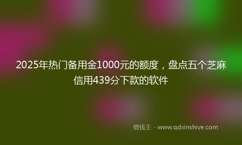 2025年热门备用金1000元的额度，盘点五个芝麻信用439分下款的软件