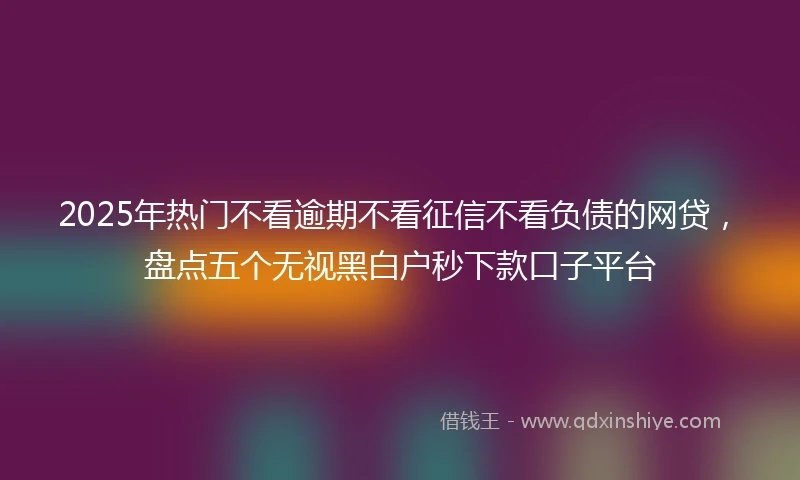 2025年热门不看逾期不看征信不看负债的网贷,盘点五个无视黑白户秒下款口子平台