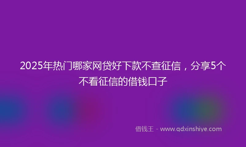 2025年热门哪家网贷好下款不查征信，分享5个不看征信的借钱口子