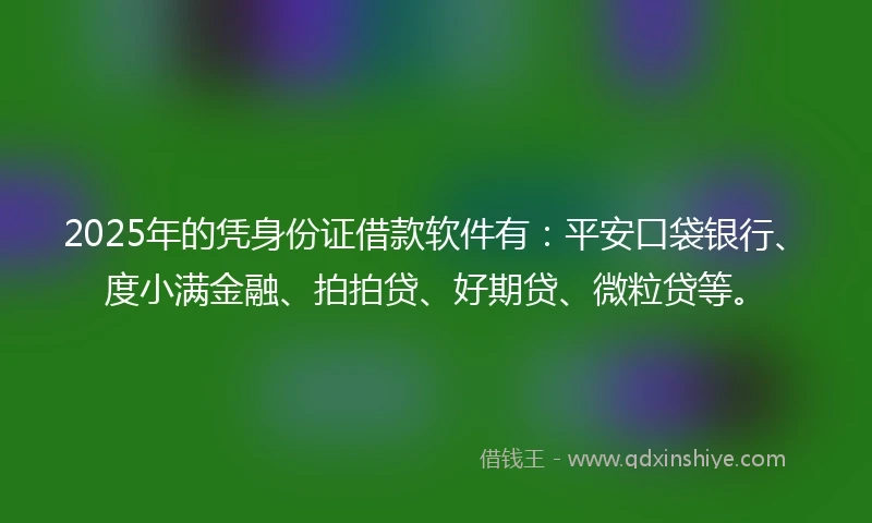 2025年的凭身份证借款软件有:平安口袋银行、度小满金融、拍拍贷、好期贷、微粒贷等。