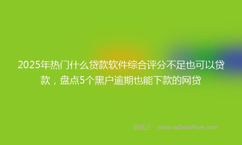 2025年热门什么贷款软件综合评分不足也可以贷款，盘点5个黑户逾期也能下款的网贷