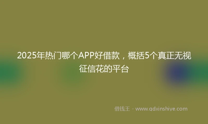 2025年热门哪个APP好借款，概括5个真正无视征信花的平台