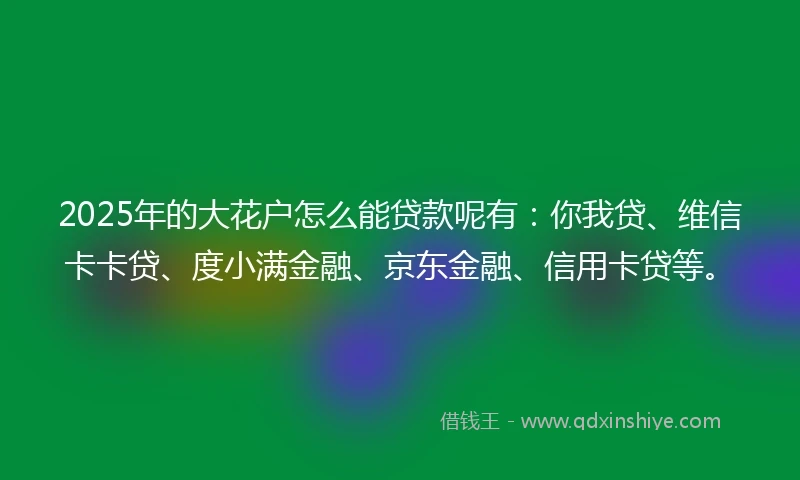 2025年的大花户怎么能贷款呢有：你我贷、维信卡卡贷、度小满金融、京东金融、信用卡贷等。
