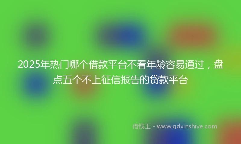 2025年热门哪个借款平台不看年龄容易通过，盘点五个不上征信报告的贷款平台