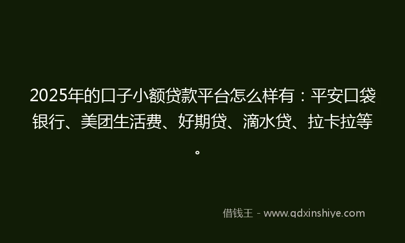 2025年的口子小额贷款平台怎么样有：平安口袋银行、美团生活费、好期贷、滴水贷、拉卡拉等。