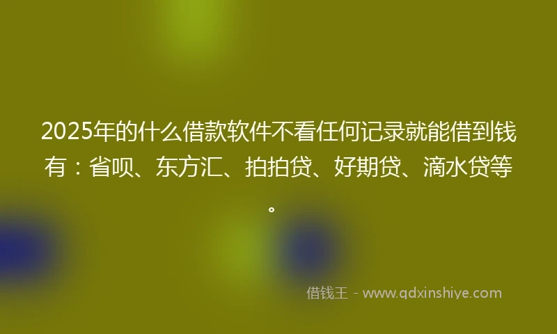2025年的什么借款软件不看任何记录就能借到钱有：省呗、东方汇、拍拍贷、好期贷、滴水贷等。