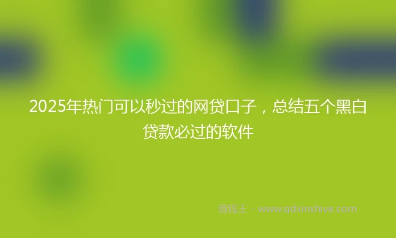 2025年热门可以秒过的网贷口子,总结五个黑白贷款必过的软件