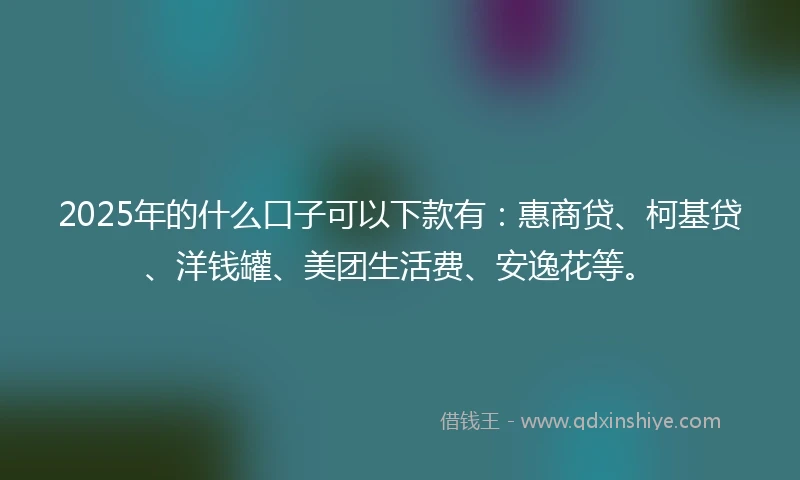 2025年的什么口子可以下款有：惠商贷、柯基贷、洋钱罐、美团生活费、安逸花等。