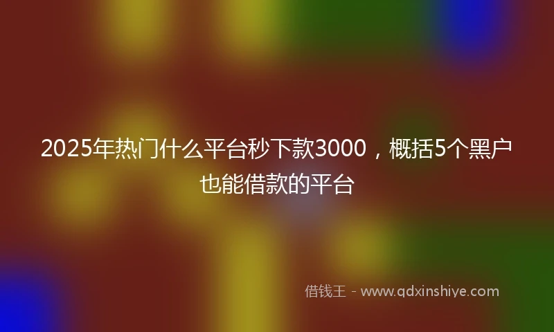 2025年热门什么平台秒下款3000，概括5个黑户也能借款的平台