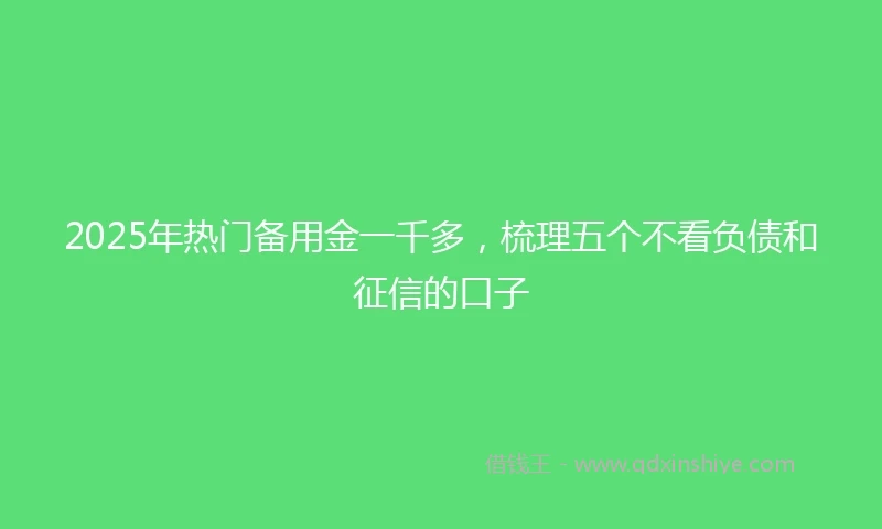 2025年热门备用金一千多,梳理五个不看负债和征信的口子