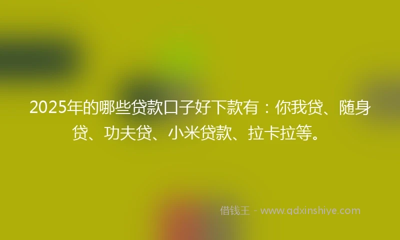 2025年的哪些贷款口子好下款有：你我贷、随身贷、功夫贷、小米贷款、拉卡拉等。