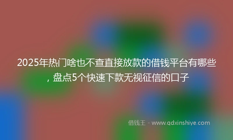 2025年热门啥也不查直接放款的借钱平台有哪些，盘点5个快速下款无视征信的口子