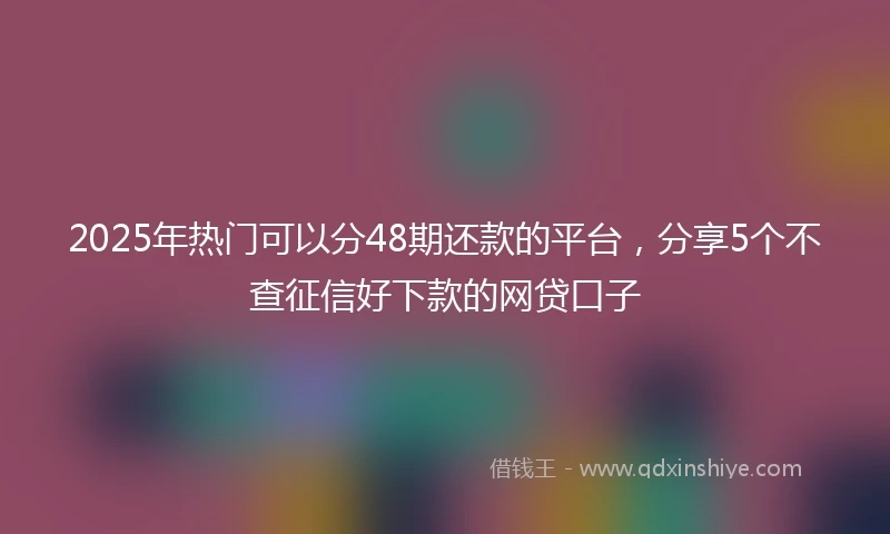 2025年热门可以分48期还款的平台，分享5个不查征信好下款的网贷口子