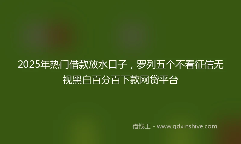 2025年热门借款放水口子，罗列五个不看征信无视黑白百分百下款网贷平台
