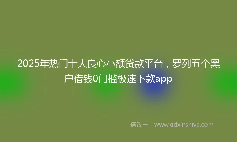 2025年热门十大良心小额贷款平台，罗列五个黑户借钱0门槛极速下款app