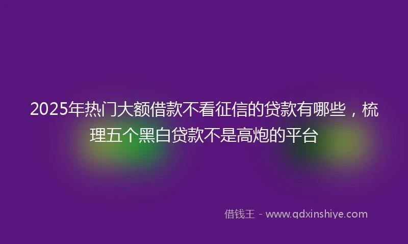 2025年热门大额借款不看征信的贷款有哪些，梳理五个黑白贷款不是高炮的平台