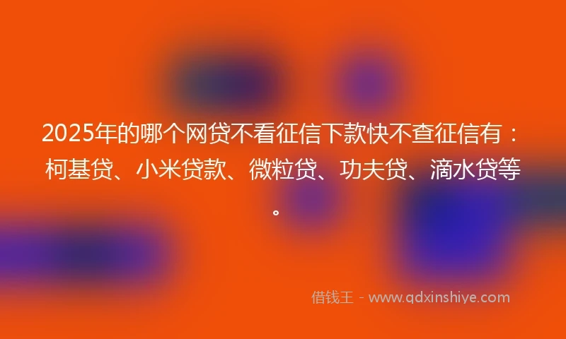 2025年的哪个网贷不看征信下款快不查征信有：柯基贷、小米贷款、微粒贷、功夫贷、滴水贷等。