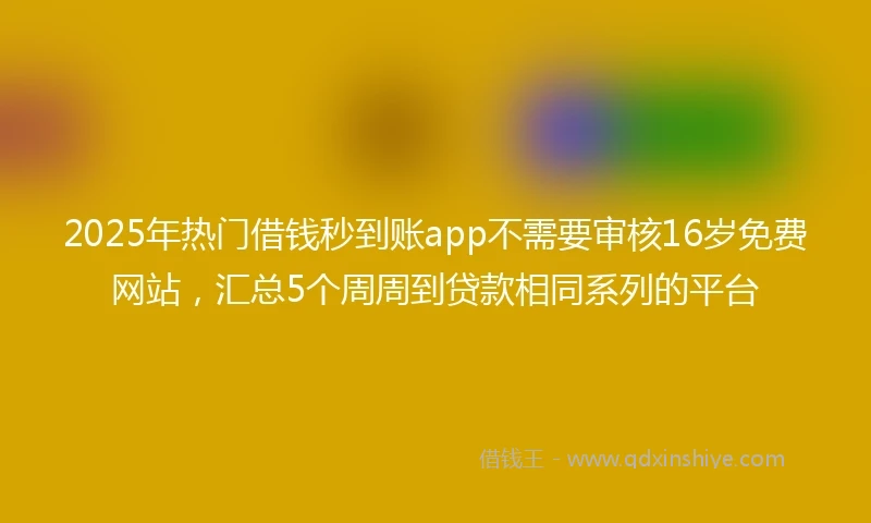 2025年热门借钱秒到账app不需要审核16岁免费网站，汇总5个周周到贷款相同系列的平台