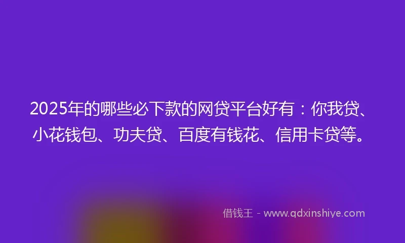 2025年的哪些必下款的网贷平台好有：你我贷、小花钱包、功夫贷、百度有钱花、信用卡贷等。