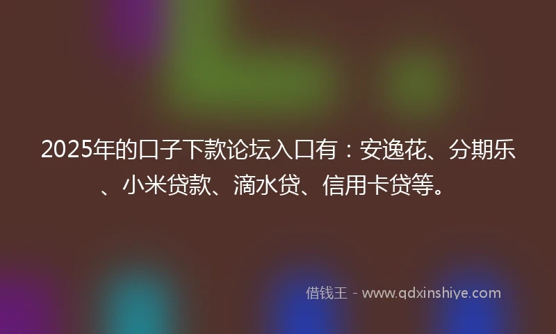 2025年的口子下款论坛入口有：安逸花、分期乐、小米贷款、滴水贷、信用卡贷等。