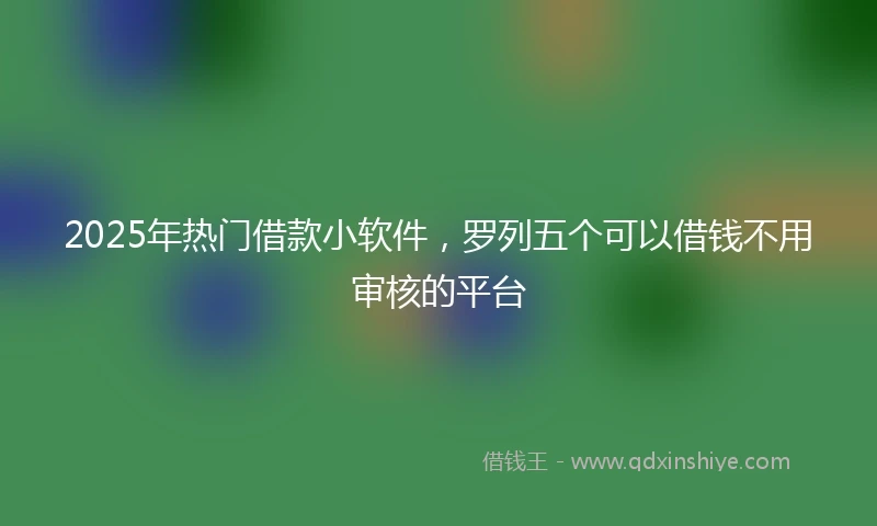 2025年热门借款小软件，罗列五个可以借钱不用审核的平台