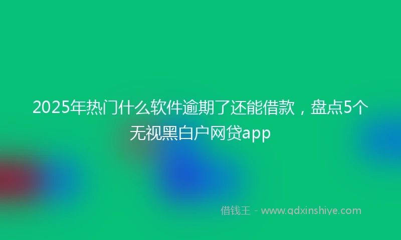 2025年热门什么软件逾期了还能借款，盘点5个无视黑白户网贷app